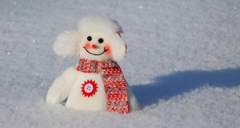 Подмосковье ждут морозы: температура резко опустится