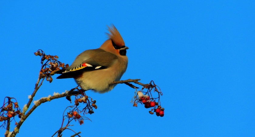 Морозы до -22 градусов накроют Московскую область: погода в регионе 9 февраля