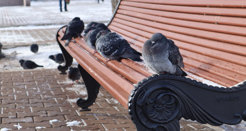 В Московской области 10 февраля ударят морозы до -18: синоптики рассказали о погоде в регионе
