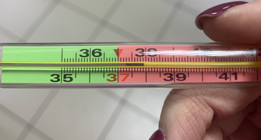 Жительница Наро-Фоминска опровергла слухи об отравлении ртутью из-за ребенка