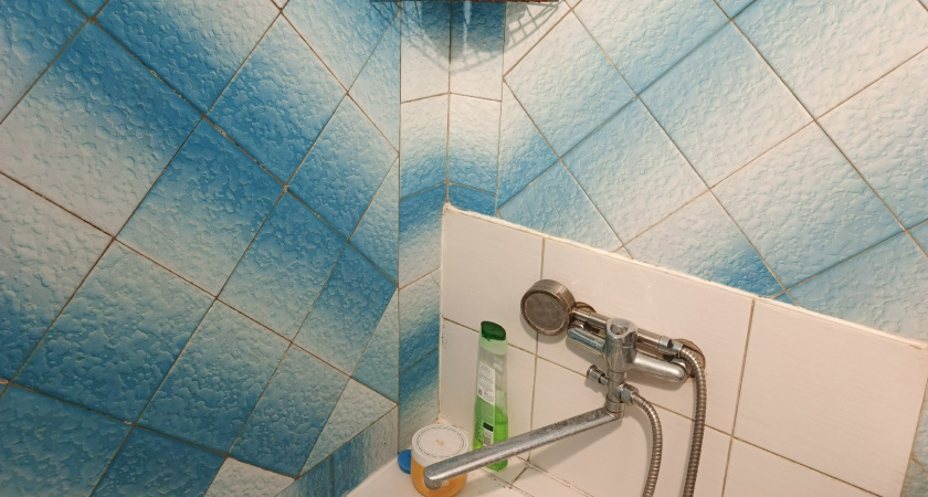 Ванны и душевые больше не в тренде: сейчас многие предпочитают этот вариант