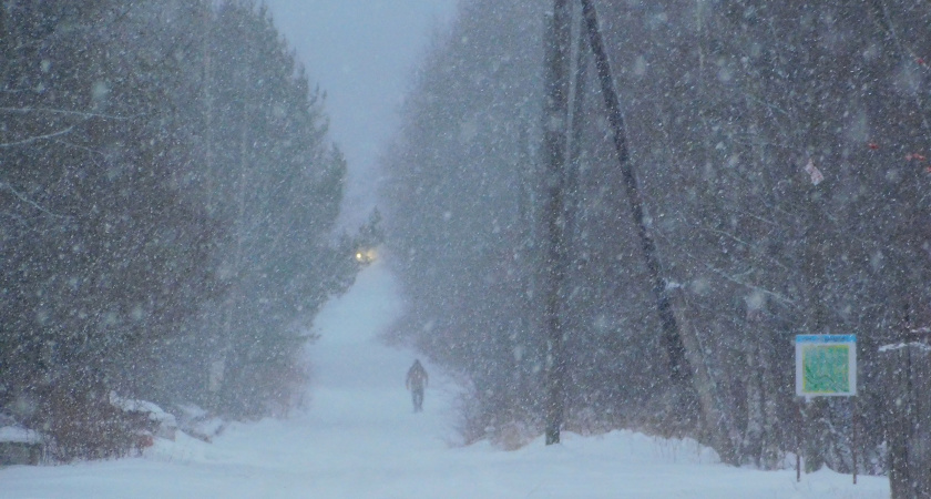 На Московскую область 11 февраля обрушатся снегопады: прогноз погоды на среду