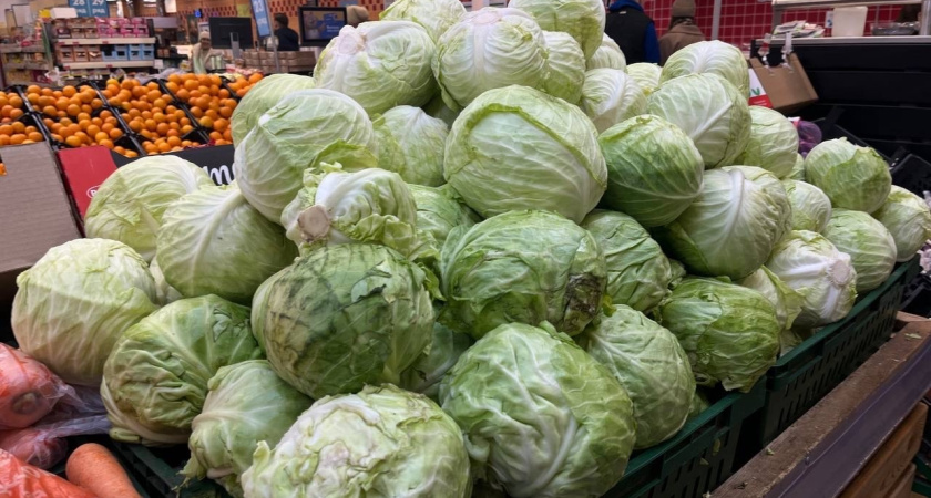 Жители Московской области стали чаще покупать белокочанную капусту