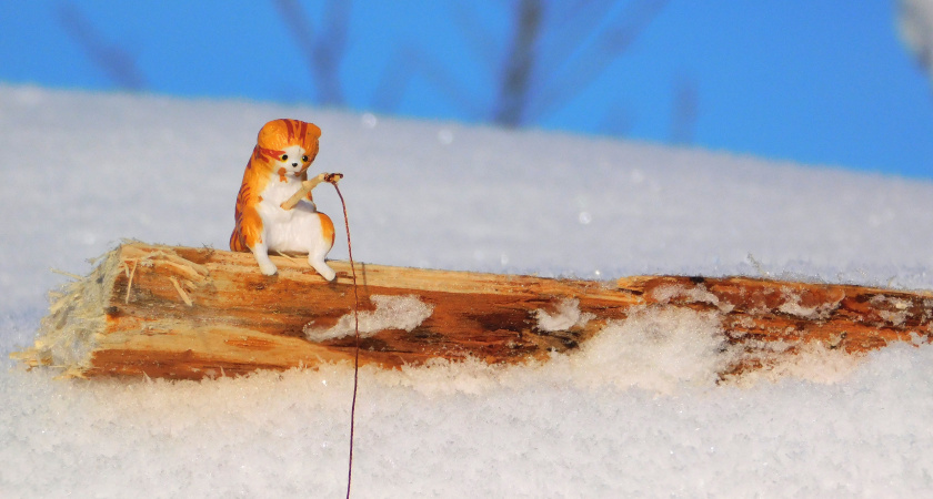 Снегопады и оттепель: синоптики рассказали о погоде в Московской области 12 февраля