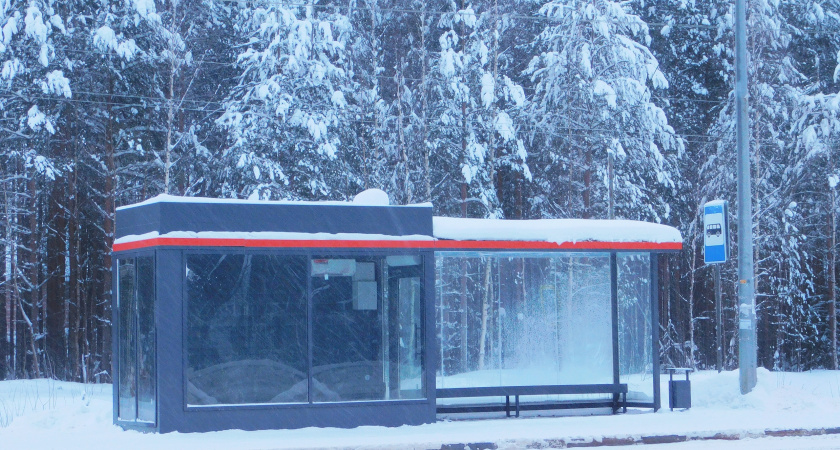 Названы автобусные маршруты до романтических мест Подмосковья