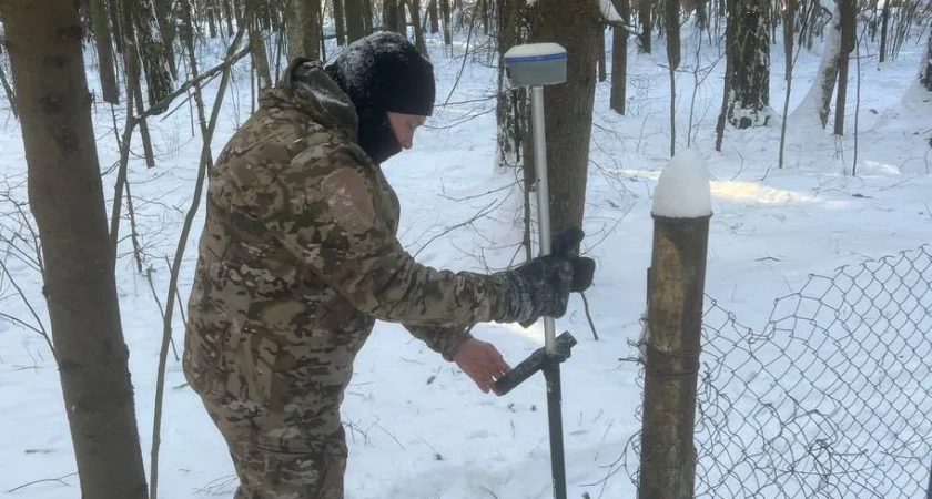 Незаконное занятие лесных участков выявили в Наро-Фоминском округе