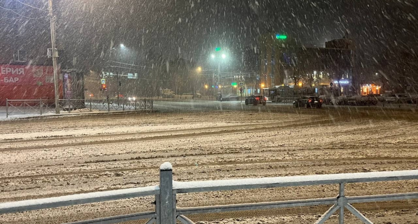 Мороз до -13 градусов и метель: прогноз погоды в Московской области 16 февраля