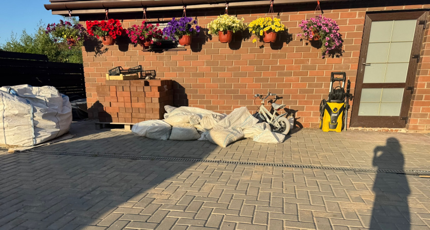 Прости, петуния, нам нужно расстаться: 5 цветов, которые украли мое сердце в прошлом сезоне