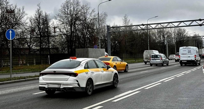 Минтранс Подмосковья оштрафовал 250 нелегальных таксистов в аэропортах