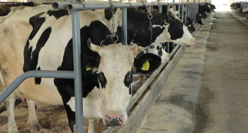 В Наро-Фоминском округе объем промышленного производства вырос почти на 9%