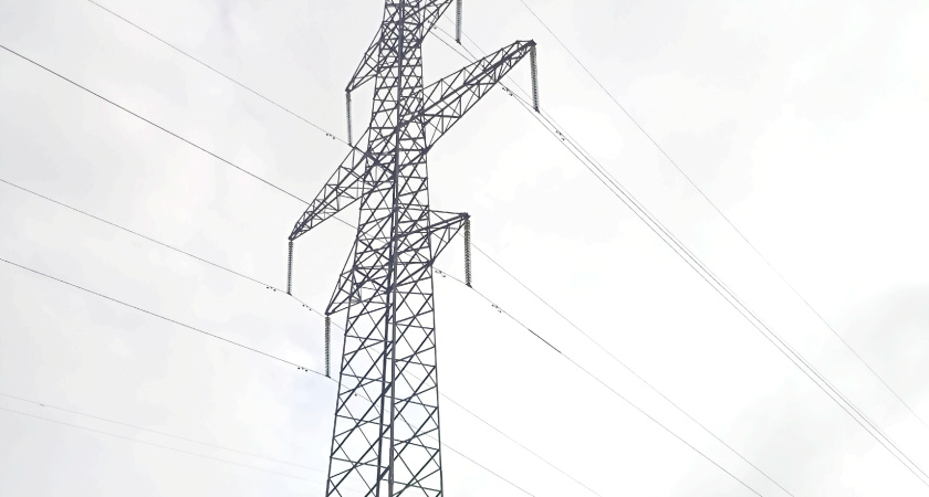 Энергетики установят в Наро-Фоминском округе 194 защитных устройства для птиц