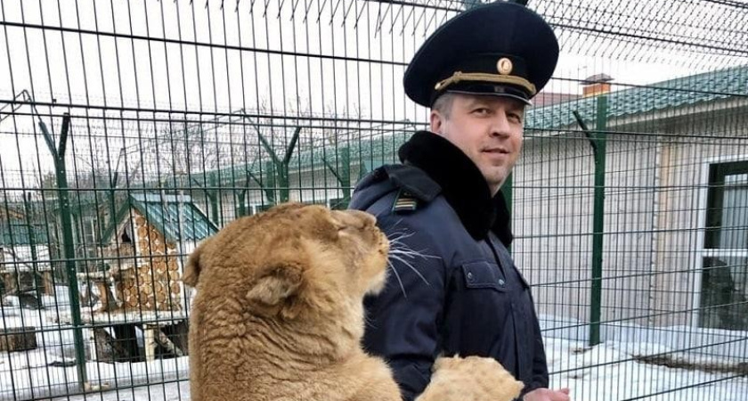 Московская область поддержала федеральный закон о защите диких животных