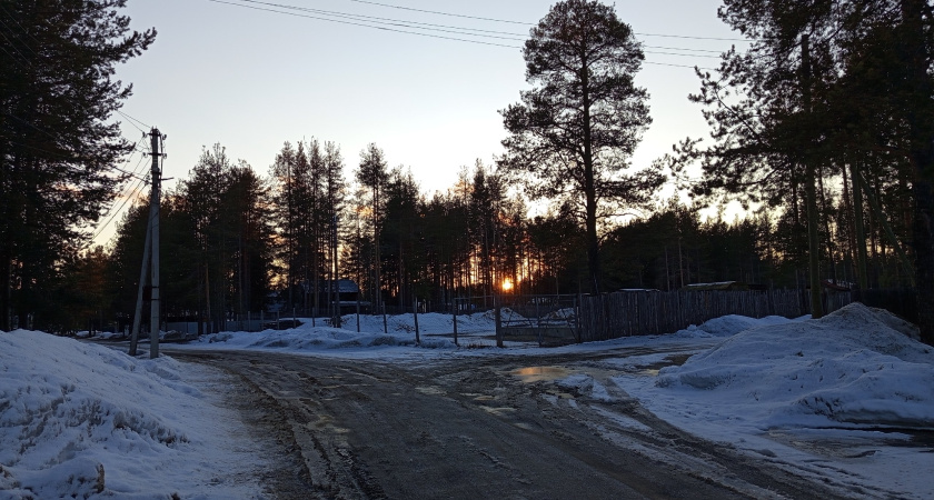 Прогноз погоды на 1 марта: синоптики предупредили жителей Московской области о дожде и гололедице в первый день весны