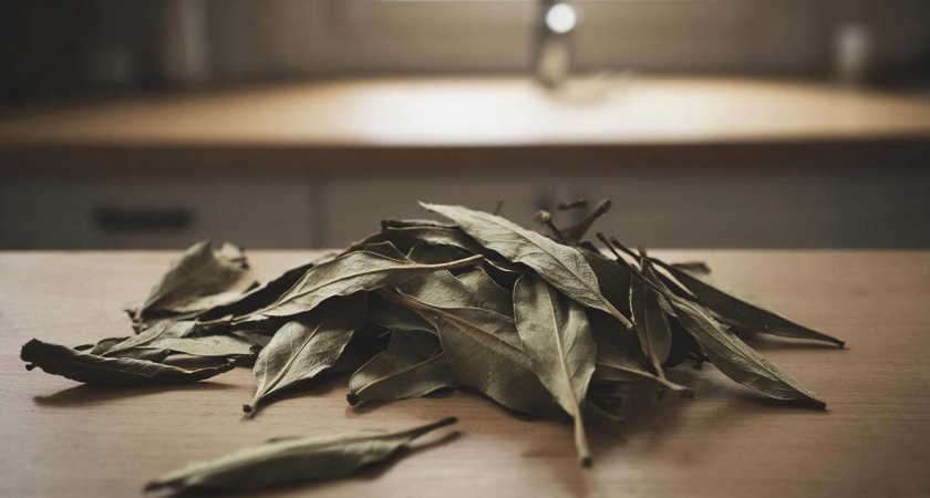 Дома каждый вечер поджигаю лавровый лист: хитрость предков помогает до сих пор