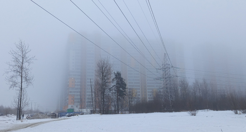 Густой туман окутает Московскую область в ночь на 2 марта: прогноз погоды в регионе