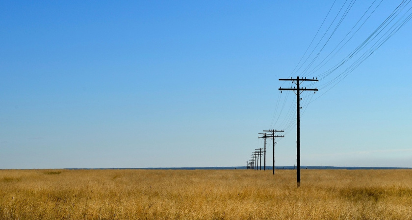 Фермеры Московской области получили больше 120 гектаров земли с начала года
