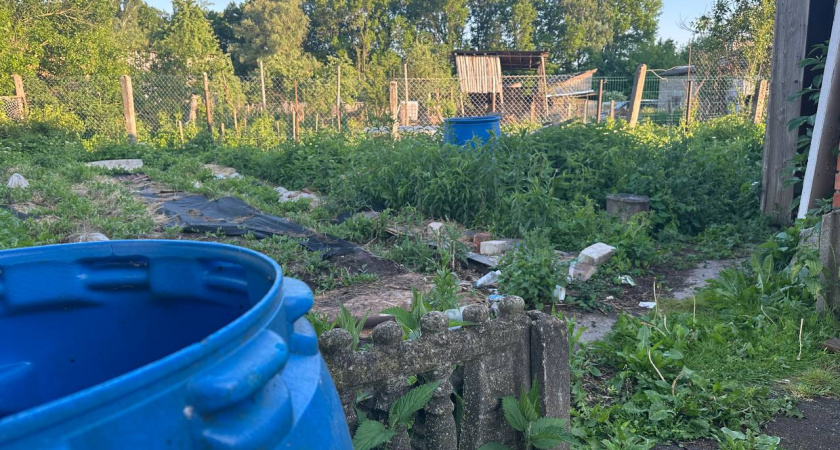 Почему во многих деревнях вдруг перестали сажать огороды - вот в чем главная причина