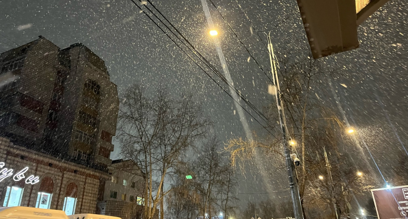 В Московской области ожидается снег с дождем: погода в регионе 6 марта