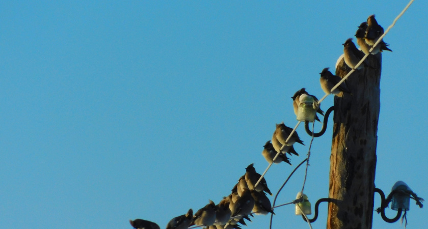 Синоптик Александр Ильин предупредил о гололедице и морозах до минус 9 градусов в Подмосковье 8 марта