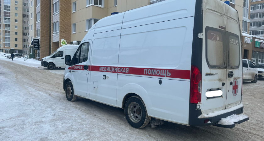 В Московской области детей ударило током из-за упавшего высоковольтного кабеля