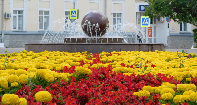 Московская область вырастила 67 миллиона цветов и стала лидером отрасли