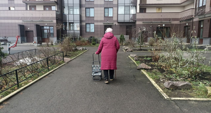 Доплата к пенсии за детей, рождённых до 1990 года: как с легкостью оформить и рассчитать прибавку в 2026 году