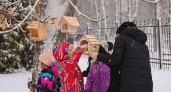 Зимний марафон добра: Подмосковье присоединилось к акции помощи пернатым