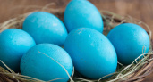 Опускаю яйца в отвар из натуральных продуктов — получаю яйца небесно-голубого цвета