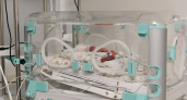 В Подмосковье неонатологи спасли более 600 недоношенных детей с начала года