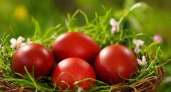 Никакой химии: способ покрасить яйца в настоящий красный цвет — работает лучше магазинных красителей