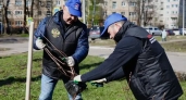 В Наро-Фоминском округе во время субботника высадили деревья и собрали десятки кубометров мусора