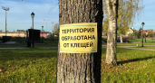В Наро-Фоминске обработают набережную и парк от клещей