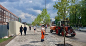В Наро-Фоминске завершают озеленение центральной городской площади