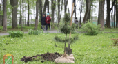 В Наро-Фоминске театральную прогулку превратили в урок экологии для детей