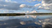 В водоохранных зонах Московской области пять автомобилистов привлекли к ответственности