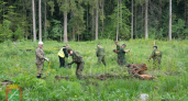 В Наро-Фоминском округе десятки семей объединила экологическая акция