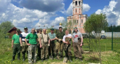 Лесничие высадили живую изгородь у стен древнего монастыря в Наро-Фоминске