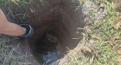 В Наро-Фоминском городском округе спасатели вызволили собаку из наполненной водой ловушки