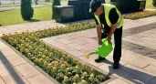 В Наро-Фоминске из-за аномальной жары участили полив городских клумб