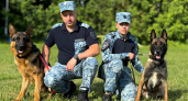 Подмосковные кинологи поздравили коллег с профессиональным праздником