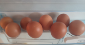 Не кладите яйца в холодильник — секрет продавца с рынка: это портит вкус и сокращает срок хранения