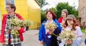 Волонтёры Наро-Фоминска раздали горожанам ромашки 