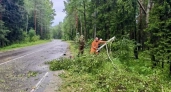 В Московской области ликвидировали подтопления и поваленные деревья на дорогах