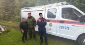 В Наро-Фоминске из леса вывели заблудившуюся пенсионерку благодаря заряженному телефону
