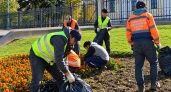 В Наро-Фоминске стартовала кампания по подготовке зеленых зон к холодам