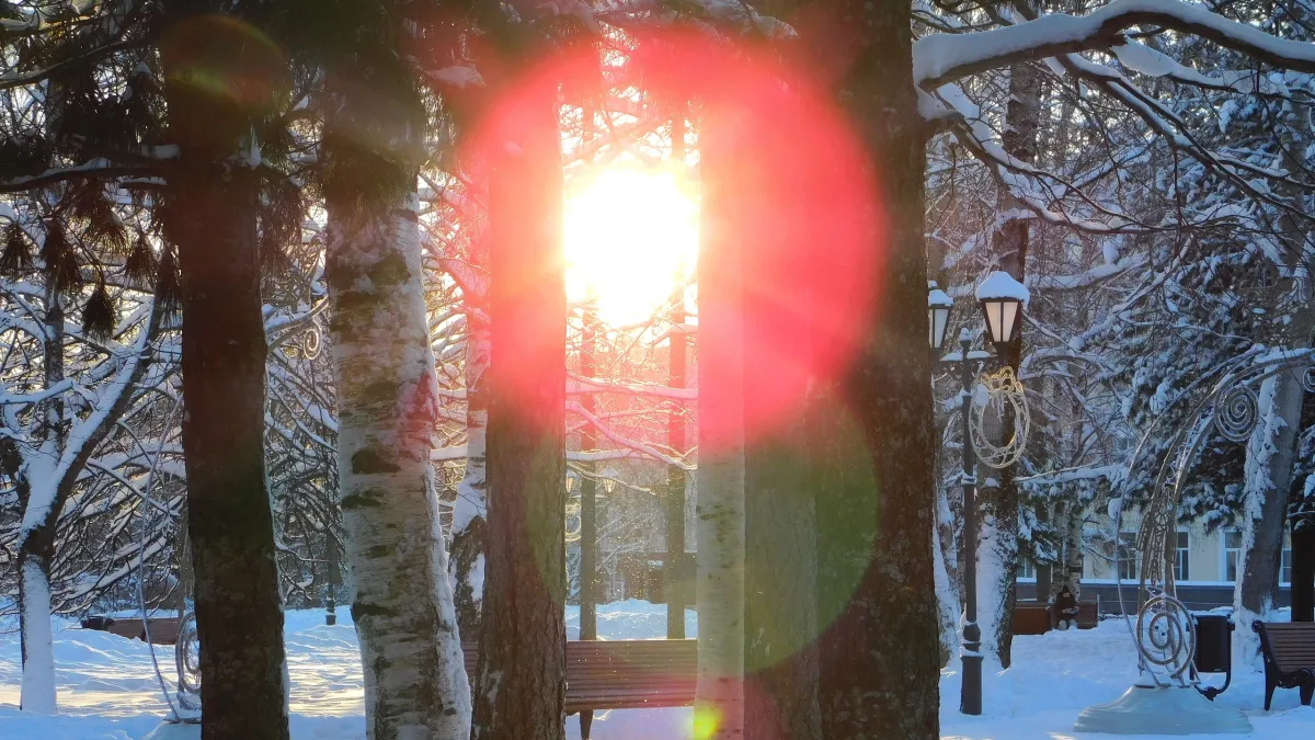 Аллерголог Владимир Болибок предупредил жителей Наро-Фоминска об угрозе шока из-за холодов