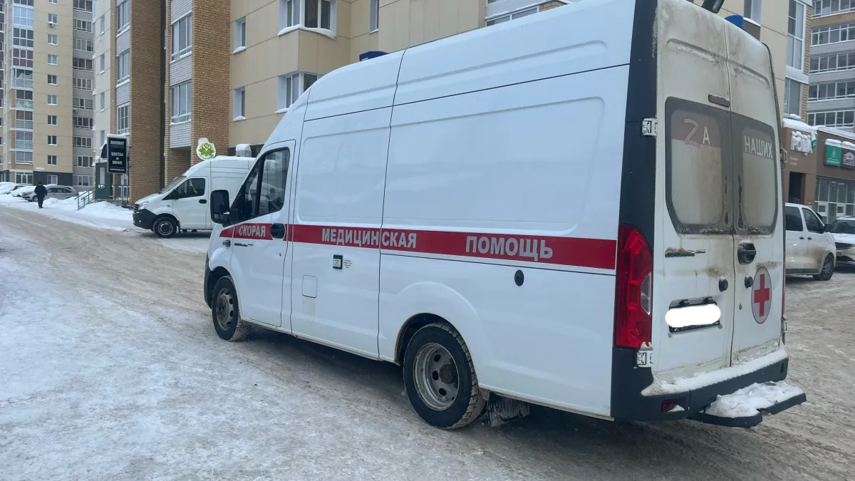 В Московской области детей ударило током из-за упавшего высоковольтного кабеля