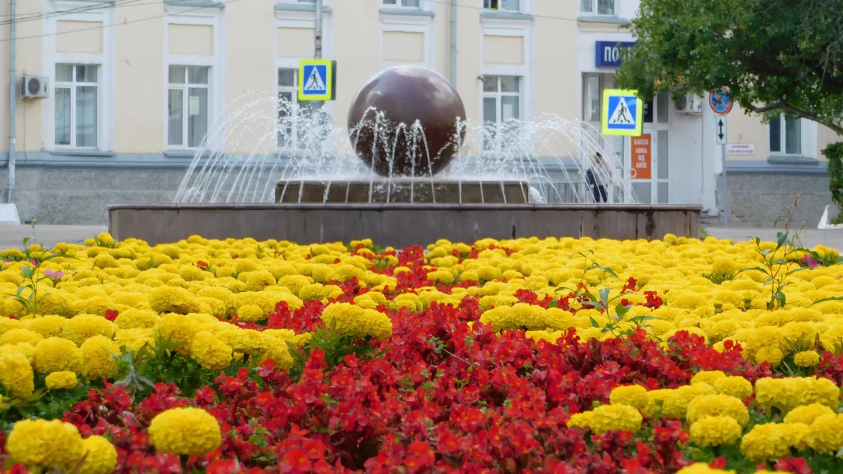 Московская область вырастила 67 миллиона цветов и стала лидером отрасли