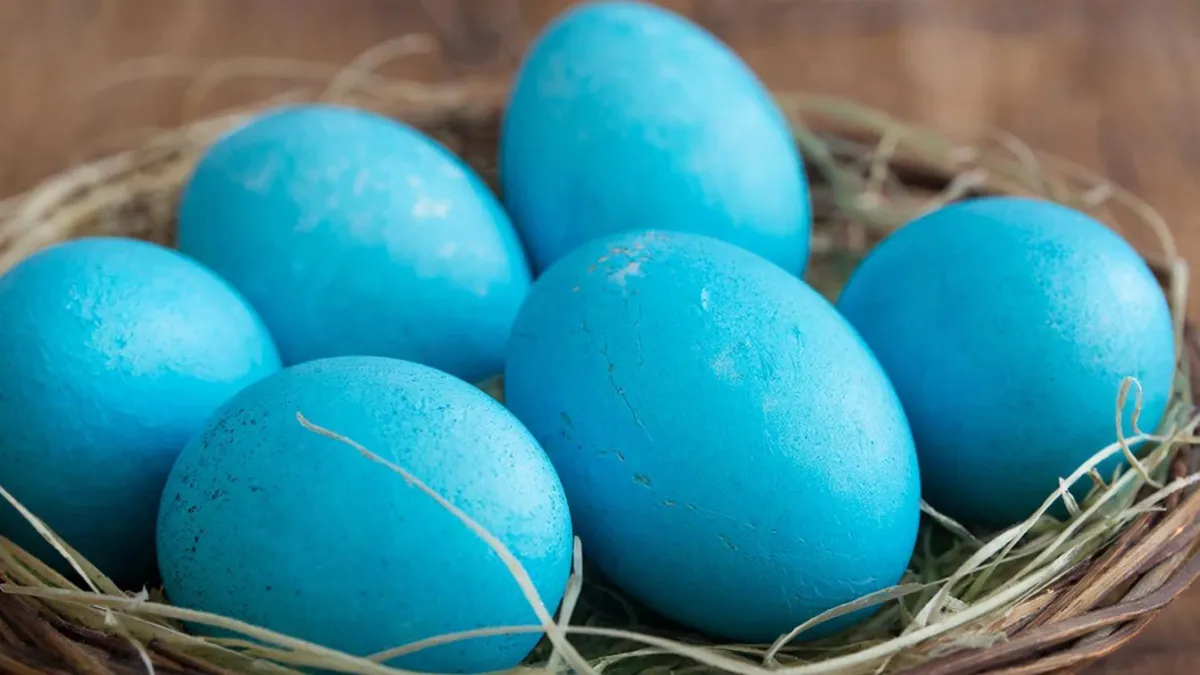 Опускаю яйца в отвар из натуральных продуктов — получаю яйца небесно-голубого цвета