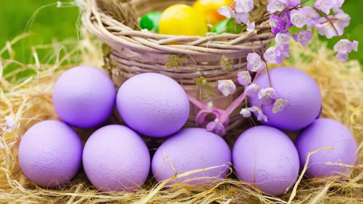 Модный сиреневый оттенок для пасхальных яиц: давно забытый метод окрашивания натуральными красителями